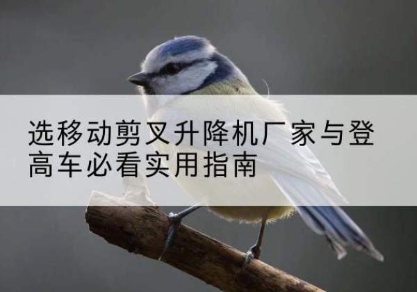 西湖电动升降机厂家-选移动剪叉升降机厂家与登高车必看实用指南